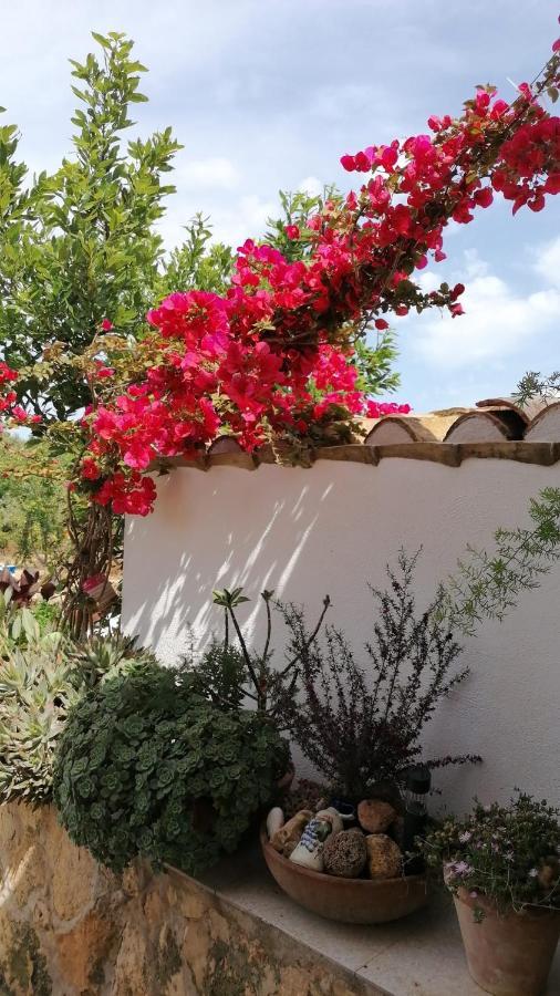 Alojamiento Rural Masia Valldeperez L'Ampolla Kültér fotó